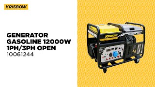 KRISBOW GENSET DUAL PHASE 12000W - 10061244