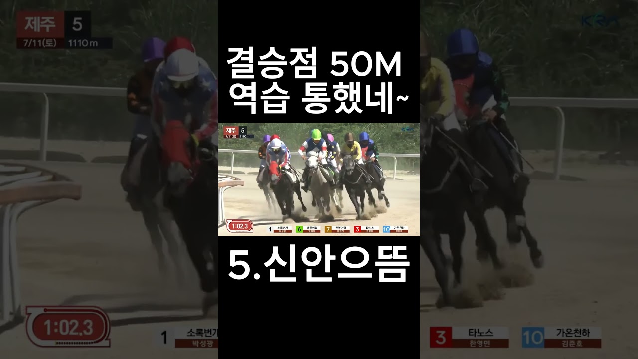 결승점 50M 통했네   #경마  #경마예상  #경마방송  #경마예상방송  #서울경마  #금요경마  #토요경마  #일요경마 #경마장