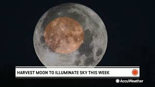 Harvest moon to light up the sky in the final days of September | AccuWeather