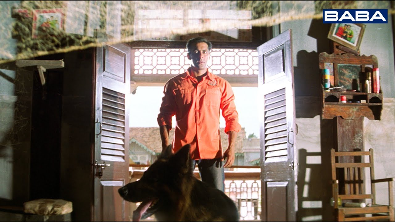 कुत्ते ने सलमान खान की पुरानी यादें तजा किया | Tumko Na Bhool Paayenge Last Fight Scene