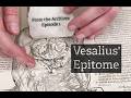 From the Archives: Vesalius' Epitome
