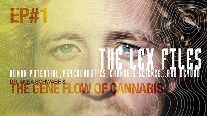 Dr. Anna Schwabe & the Gene Flow of Cannabis | The...