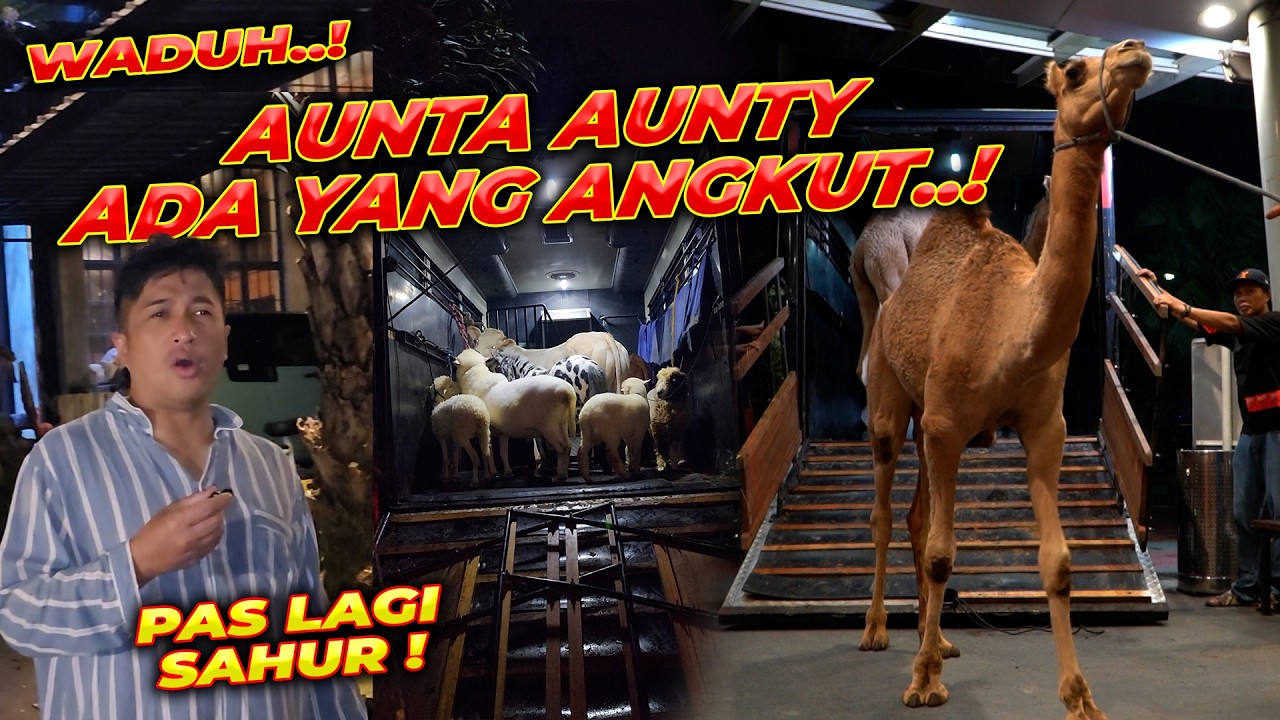 YANG LAIN SAHUR..!! KITA ANGKUT HEWAN PINDAH KE MALL !!