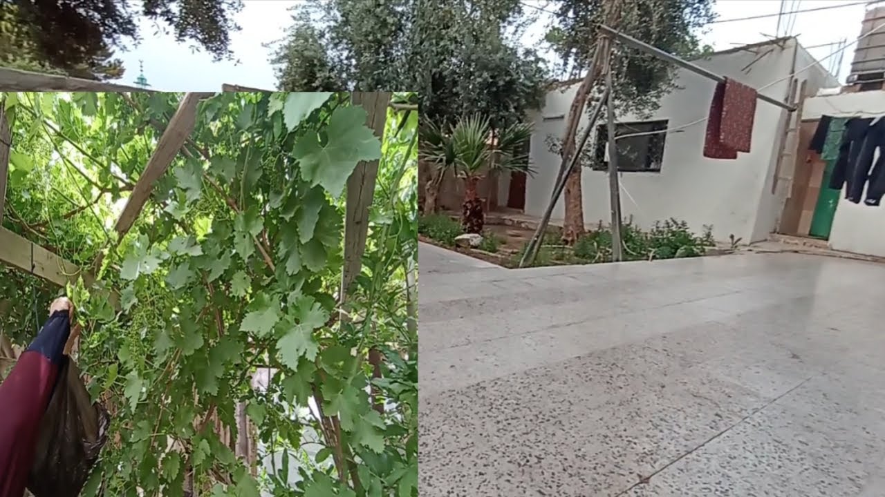 بيت العز يا بيت ابوي، استرجعت ذكريات العز، روتين شطف وتنظيف