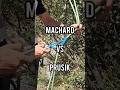 🪢 Machard vs Prusik