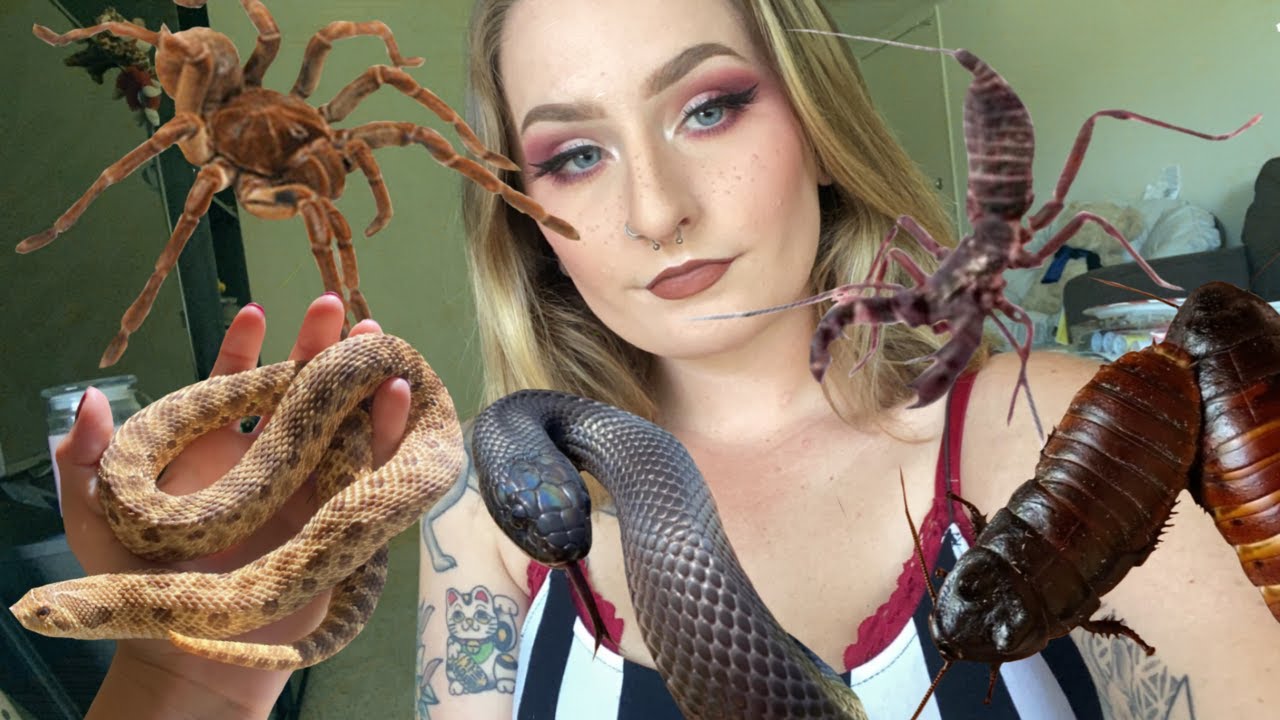 MEET MY EXOTIC PETS (SNAKES, GIANT SPIDERS, HISSING COCKROACHES