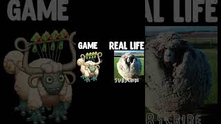 Amber Island In Real Life