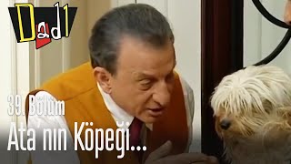 Atanın Köpeği... - Dadı 39. 