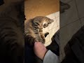 朝のまったり時間