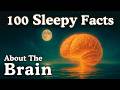 100 Fascinating Brain Facts to Fall Asleep To 🧠