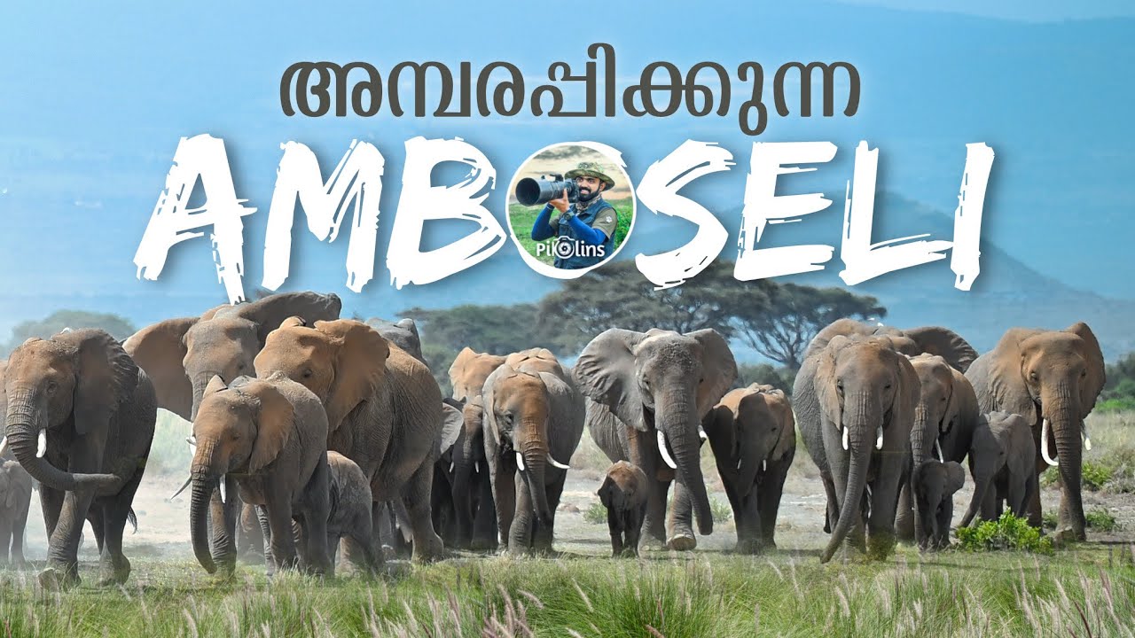 നൂറുകണക്കിന് ആനകൾ | Amboseli National Park | Paradise of Elephants 4K