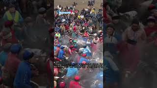 Жанторо93 #kyrgyzstan #horse #атбазар #лошади