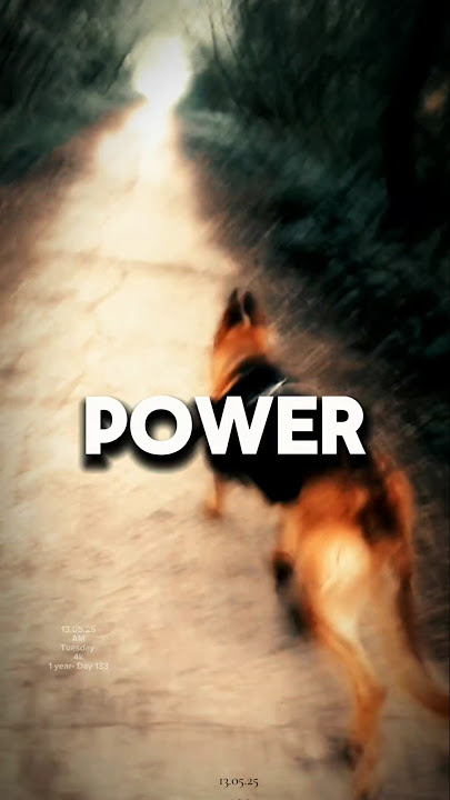 13.05.25AMTuesday 4k1 year- Day 133#everyone #follower #fypシ゚viralシ #Motivation #StayMotivated