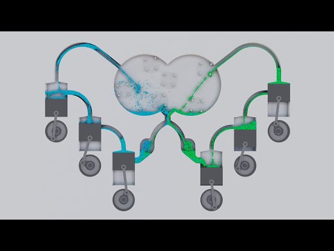 Particle fluid. Pistons. Simulation [14]