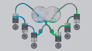 Particle fluid. Pistons. Simulation [14]