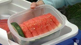 Mayo Clinic Minute: Picnic safety tips