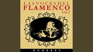 María Trifulca la Castañera