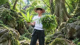 A Rich CEO Revisits the Trees He Planted... Then Makes a Surprising Discovery!