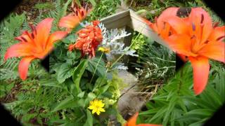 Flower Photo Slideshow & Classical Music - Fur Elise - Beethoven - Botanical