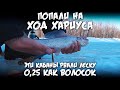 Попали на ход хариуса / Эти кабаны рвали леску 0,25 как волосок