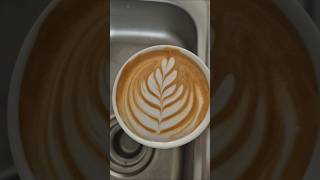 7 stacked Tulip