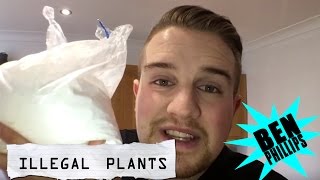 Ben Phillips | Illegal Plant PRANK! - 