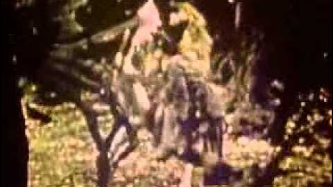 Wizard of Oz - Jitterbug.flv