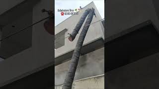 #coimbatore #coconut #tree #cutting #content #number #9080437857 #kovai#service #covai#தென்னைமரம்#🌴