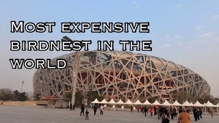 Let’s Visit The Bird's Nest - Beijing Olympic Stadium