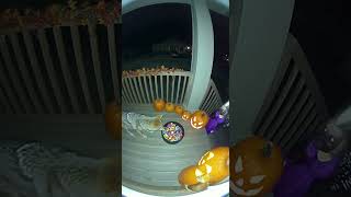 The Halloween Jumpscare That Caused a Nuclear Meltdown