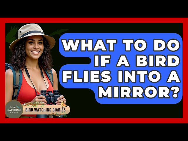 Do Mirrors Attract Birds: Surprising Facts You Need to Know