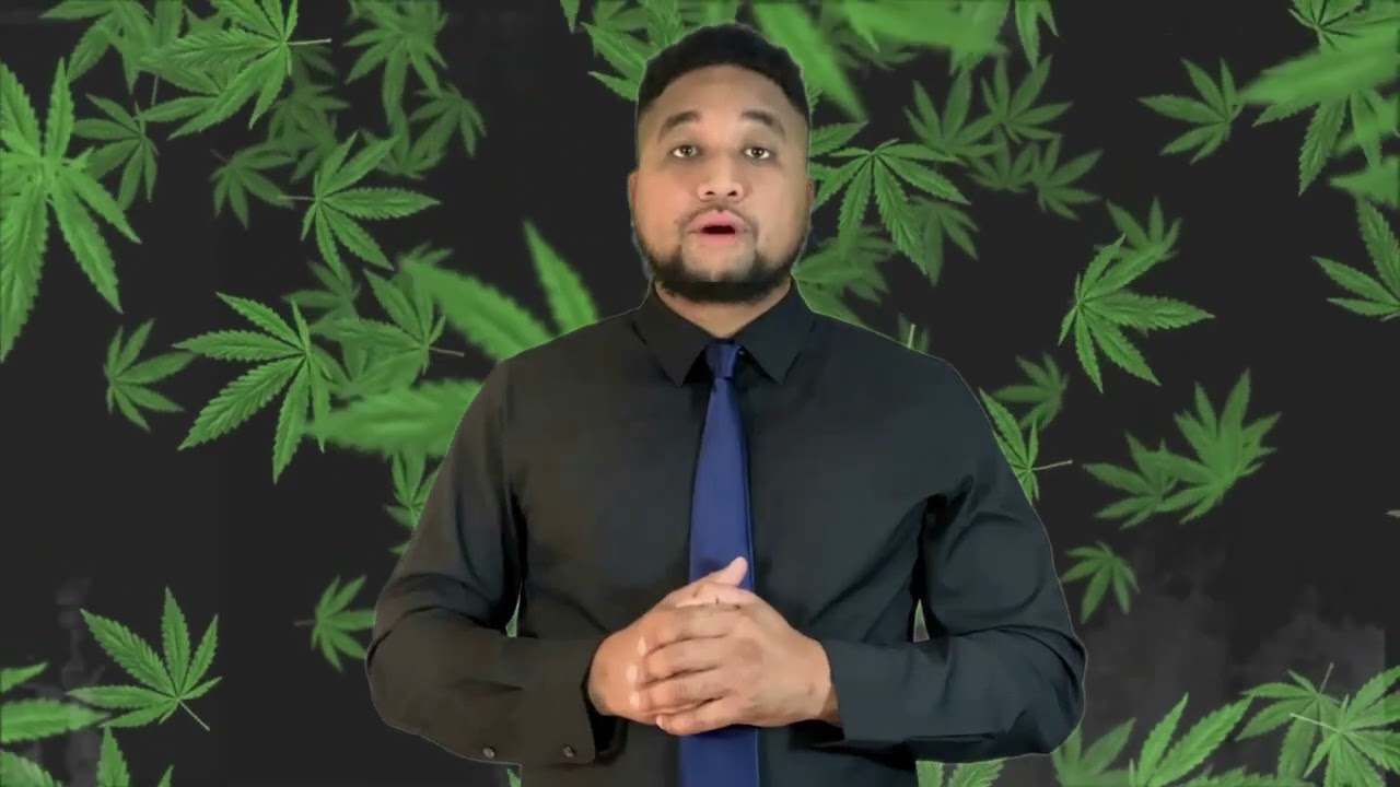 Cannabis Networking Group