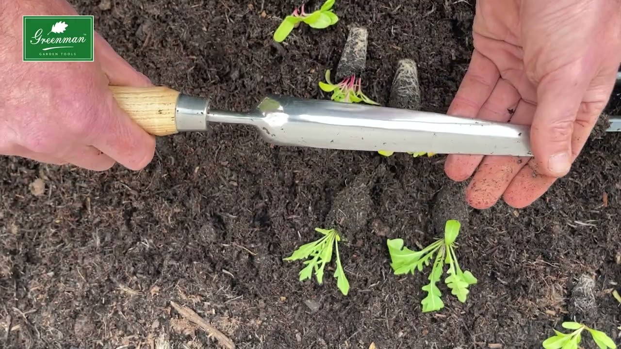 The Best Tool for Different Seedling Sizes