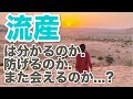 流産についての疑問…心が軽くなる1つの見方、考え方について