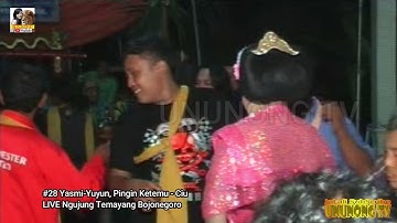 #28 Yasmi -Yuyun - Pingin Ketemu - Ciu Ngujung Temayang Bojonegoro