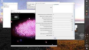 BigDataViewer Playground - ImagePlus Export/Import - Export Current View