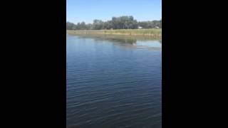 Beverly Island Canal September 2015
