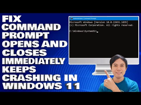How To Fix Command Prompt Opens and Closes Immediately Keeps Crashing in Windows 10/11