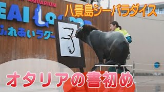 2020年 八景島シーパラのお正月　書初めや餅つきも上手だよ！