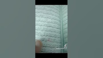 اللهم أجعل القرآن العظيم ربيع قلوبنا 🤲💌💪👌☝️#القرآن_الكريم #ذكر_الله #أمة_محمدﷺ #القارئ #الاسراء