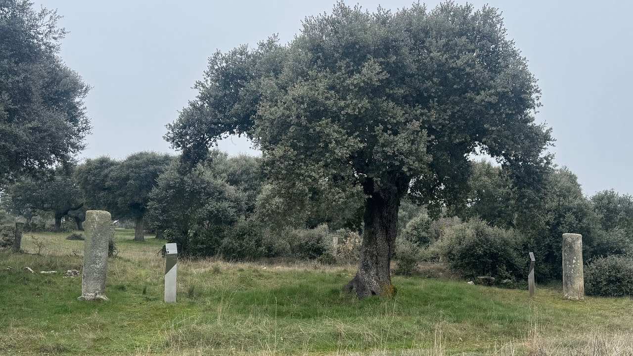 Vía de la Plata. Etapa 18. Fuenterroble de Salvatierra - San Pedro de Rozados. 28,5 km. 9-3-26