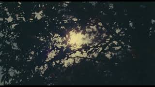 BIFF2025 Trailer | Poetic License: Into the Night | Wide Angle - Korean Short Film Competition