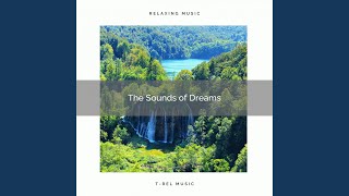 Hear Gentle Waves and Nature Calls for Perfect Relax pt. 2