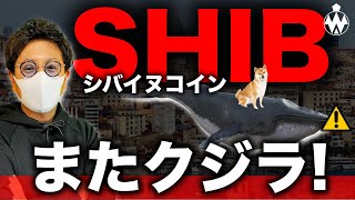 ビットコイン5月と同展開!?SHIBコインに再度鯨の影。トルコ仮想通貨法案提出？？BTC XRP ETH SHIB MANA ENJ