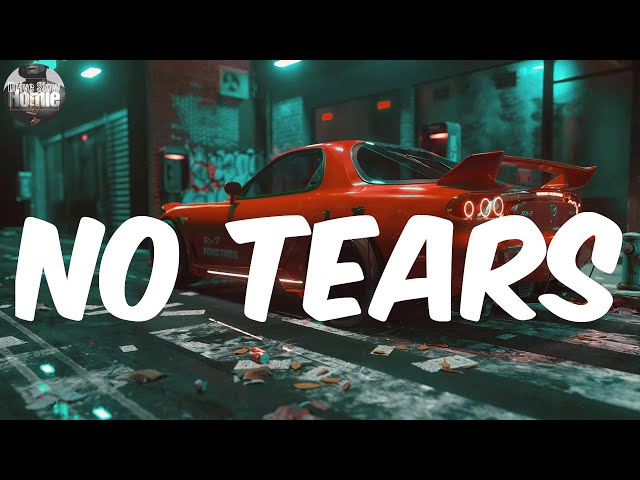 (Lyrics) No Tears - Scarface