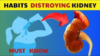 Stop These 18 Worst Daily Habits That Can Destroy Your Kidneys Fast