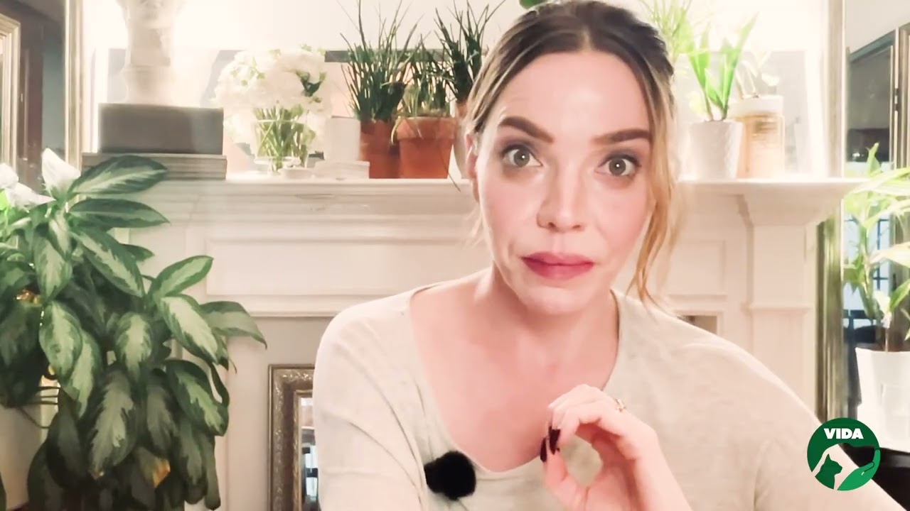 Foster a Dog in Los Angeles | Help VIDA Rescue Pets