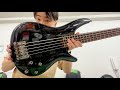 Ibanezの初心者向け5弦ベースが良すぎてこれで良いってなっちゃう件について【SR305】