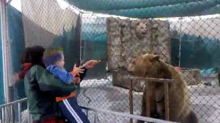 Jay with Monica Welde feeding the bear