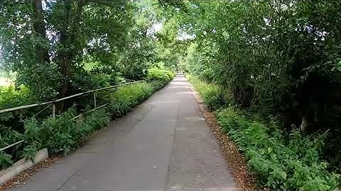 Timewarp walk with Davinci Resolve modifications (clip speed, optical flow, picture stabilization)